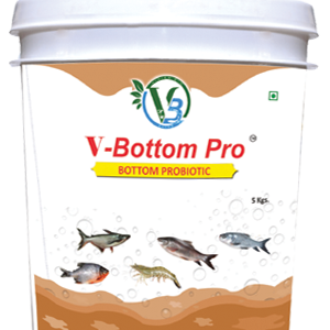 V - BOTTOM PRO