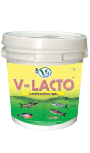 V-Lacto