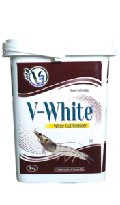 V-White