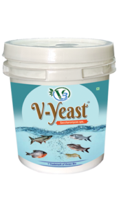 V-Yeast