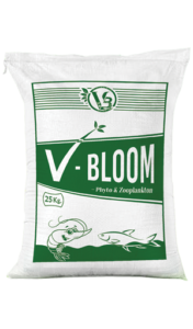 V-bloom