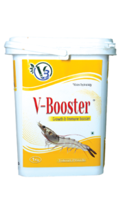 V-booster