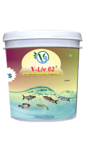 V-liv62