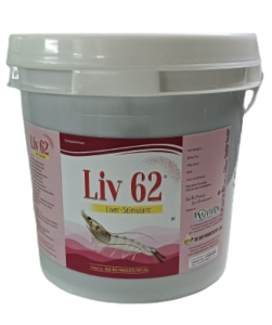 LIV 62
