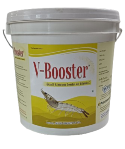 V-BOOSTER