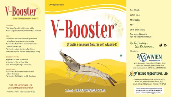 V-BOOSTER - Image 2
