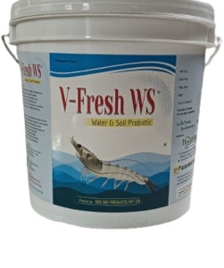 V-FRESH WS